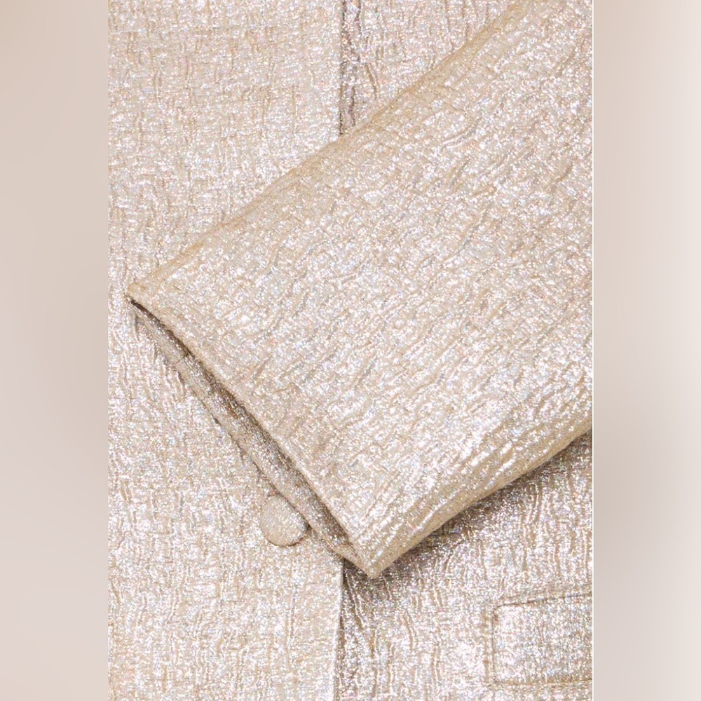 🆕B.YOUNG 💛Effa Gilded jacket - Picture 4 of 11